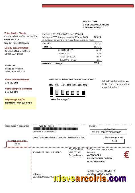 France Gaz de France Dolcevita business utility bill